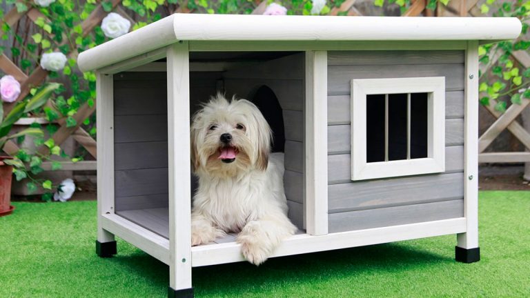 Casas para perros para exterior