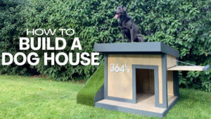 ¿Cómo construir una casa para perro grande?
