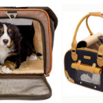 maletas para llevar a tu perro