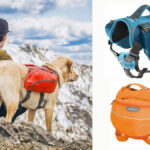 Mochilkas para perros exploradores