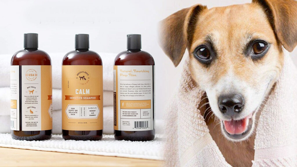Los 8 mejores shampoos para perro de 2021