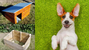 Construye una casa para perros con tarimas: tutorial paso a paso