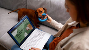 Mejores sitios web de adopción de mascotas: ¡Encuentre a su amigo para siempre!