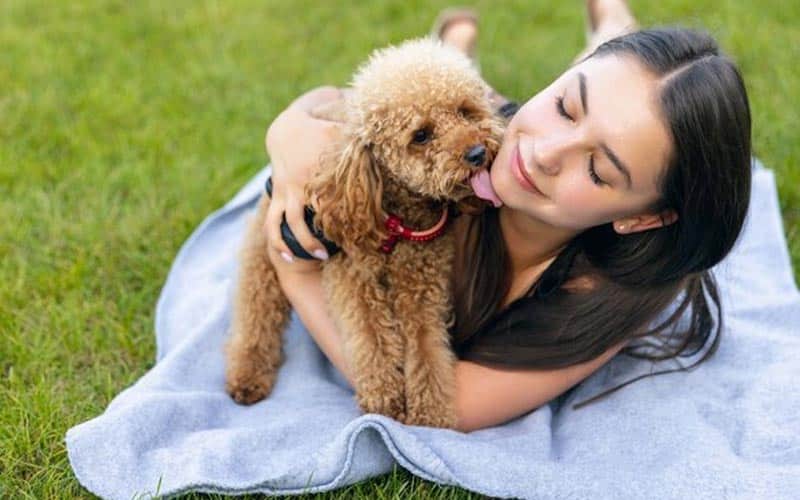 ¿Por qué mi perro me lame tanto?