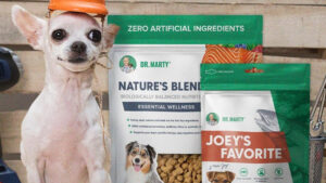 Revisión de alimentos para perros Dr. Marty